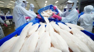 Vietnamese pangasius is favoured in many major Chinese cities