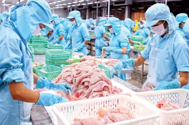 ASEAN continues to be a potential market of Vietnam pangasius 
