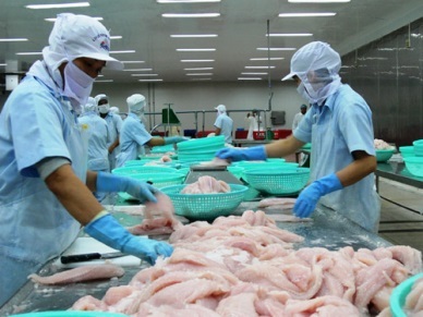 Pangasius exports rebound in July 2014