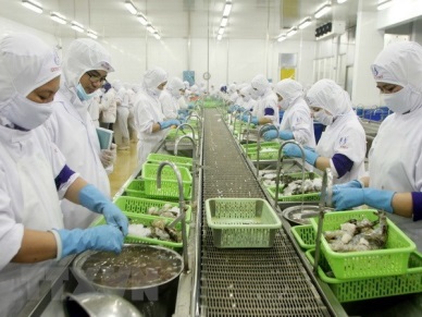 Ca Mau works to achieve 1.2 billion USD in exports