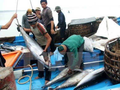 Vietnamese tuna exports suffer from Japan’s high import tariff