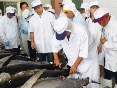 Japan to build tuna processing plant in Binh Dinh 
