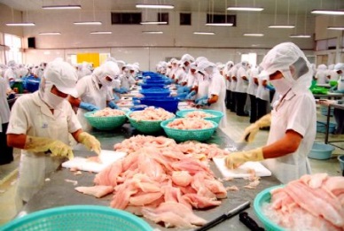 Pangasius enterprises show their interests in processing