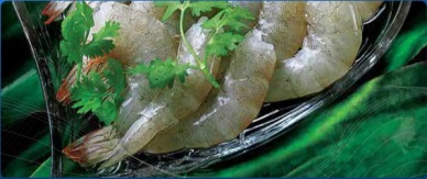 Ca Mau up 51 percent in seafood exports