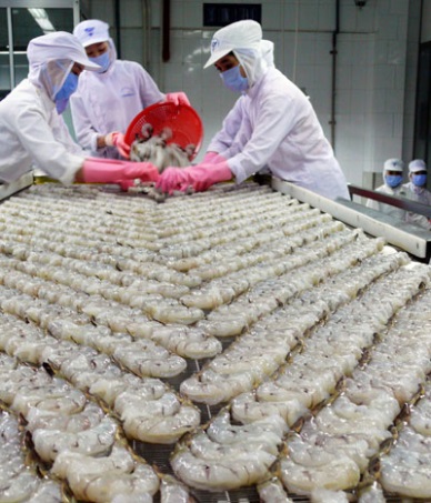 Vietnam - the leading provider of frozen shrimp to the US