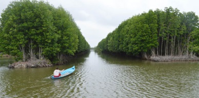 Ca Mau 12,401 ha of shrimp farming granted international eco-certification