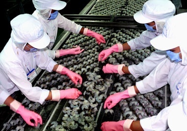 Camimex to reach VND15 billion of profit                                           