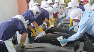 Tuna exports to the US improves