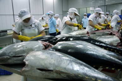 Vietnam-the second largest tuna supplier to US