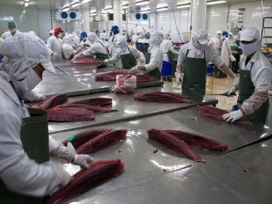 VASEP’s recommendations to promote tuna export