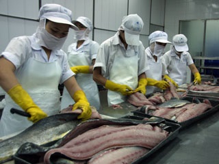 Mexico Tuna loin from Vietnam well competes with that from Indonesia