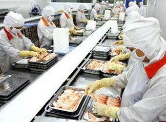 Can Tho Fish farming shrunk in Jan-Apr