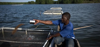 FAO Aquaculture can boost Central America income
