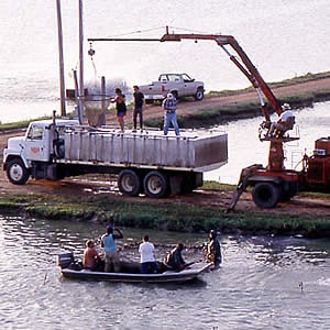 Farm bill negotiations in high gear - USDA catfish inspection remains in Senate version
