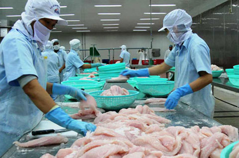 Efforts to help pangasius exporters and farmers overcome difficulties