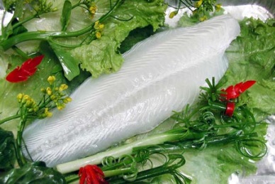 TG Corp pangasius exports up 30%