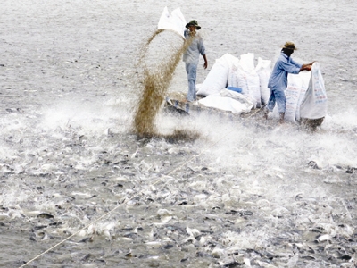 Aquaculture farmers find going tough