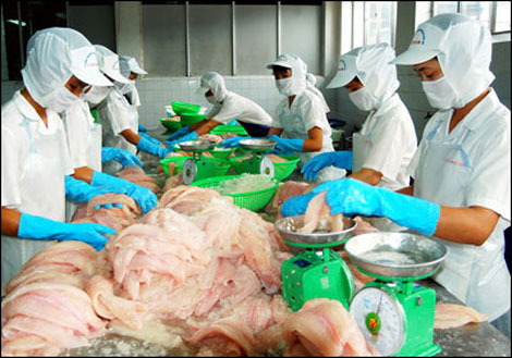 Pangasius sector needs mid-term bank loans
