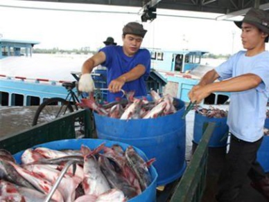 Vietnam harvested 4.5 million MT of fish