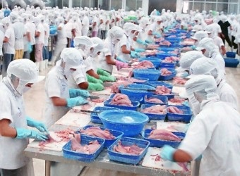 Vietnam strengthening pangasius production and consumption effectively and sustainably