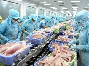 Vietnam pangasius exports in Jan-Jul 2016