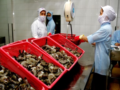 Ca Mau seafood exports to reach US$1.15 billion in 2014