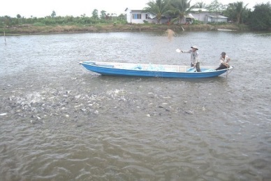 U.S. likely to approve Vietnamese tra fish compatibility VASEP