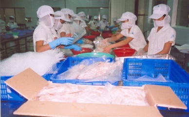 Program on Vietnam Fisheries Golden Quality Award 2017 kicked off 