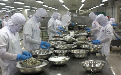 South Korea boosts shrimp imports from Vietnam 