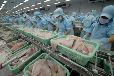 Update regulations for pangasius