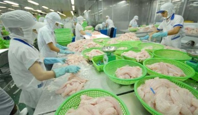 Singapore and Philippines two emerging markets of VN pangasius