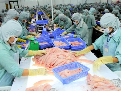 Positive growth in Vietnnam pangasius exports to China