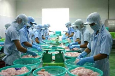 Seafood exports down 8 percent in Q12013