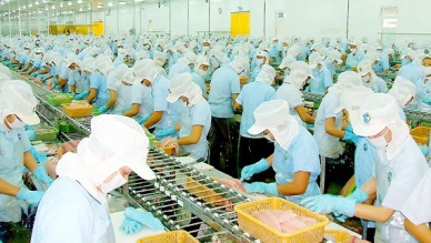 Pangasius sales touched 438 million USD in three months