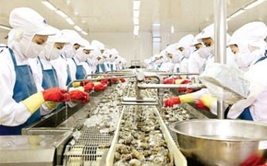Up 18.5% in Vietnam shrimp exports