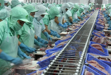 Up 8.2% in Vietnam pangasius sales