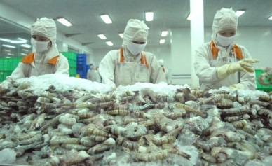 Australia agrees to re-import processed shrimps from Vietnam