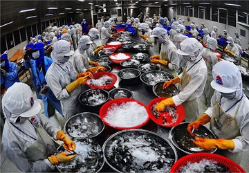 The U.S. - the largest importer of Vietnam seafood