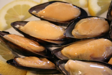 Chilean mussel exports continue 2012 free fall, down 23% though July 