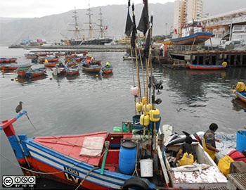 Chile Sharp decline in landings of pelagic resources