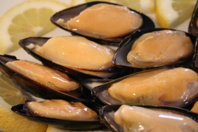 Chilean mussel exports continue 2013 success with volumes up over 10% through September