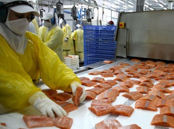 Steady rise in Chilean salmon shipments to Brazil has seen export revenues triple over last 5 years