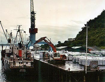 Chile Seafood landings rose by 24 per cent in the first five months