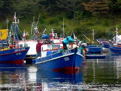 Fish landings drop in the first eight months