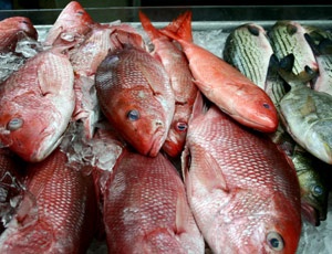 China’s seafood supply hit by drought