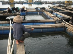 Demographic changes squeeze China aquaculture
