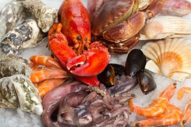 Chinas 1Q seafood exports up