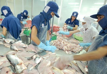 Boosting seafood export to China to nearly US$1 billion