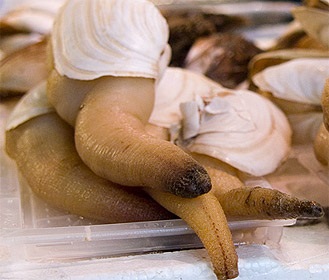 Shellfish farmers welcome Chinese import ban lift 