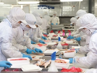 Circular 362018TT-BNNPTNT Amendments to Circular 262016TT-BNNPTNT on quarantine of aquatic animals and products thereof